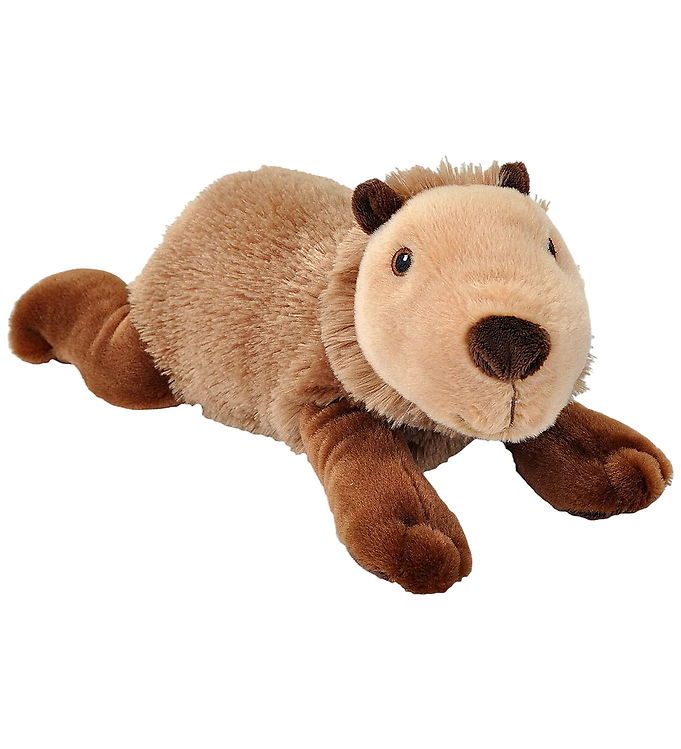 Capybara legetøj: Guide til bamser, figurer og puslespil